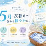 5月のクリーニング