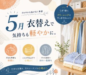 5月クリーニング