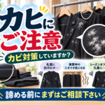 カビ対策